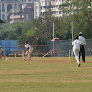 Cricket 6