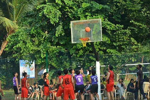 005-basketball-sport-poinsur-gymkhana