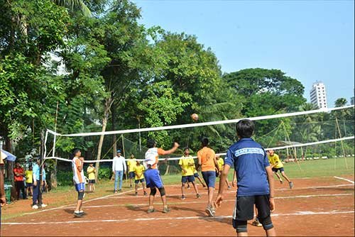 009-basketball-sport-poinsur-gymkhana