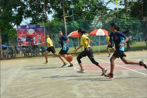 013-basketball-sport-poinsur-gymkhana